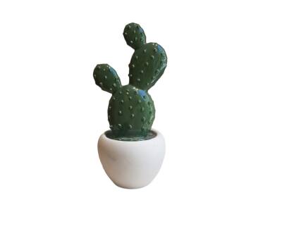Suvenir “Kaktus” (böyük) - Gallery Gifts & Flowers